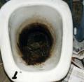 PIT TOILET EVAPORATOR