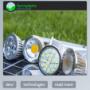 Project - Web Design - www.springlights.net