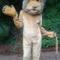 Lion-Mascot-Costume