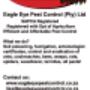 Pest Control Advert - Durban