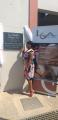 Lusikisiki Village Clinic - First  NHI Facility  in the Country