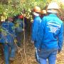 the workers in their uniforms