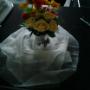table centrepiece decor