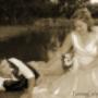 weddings
