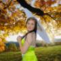 weddings