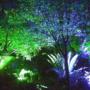 Garden lights