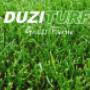 Kikuyu Lawn from Duzi Turf