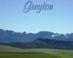 Greyton Accommodation