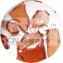Rizhao Garnet Ltd