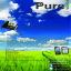 PureVoice Information
