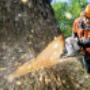 chain saw