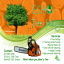 ECHO Tree Felling