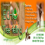 ECHO Tree Felling 1