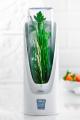 Keep Herbs Fresher for Longer with the Trudeau Herb Saver