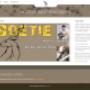 Uploaded by visitor on 2017/02/07 - Local SA Artists website