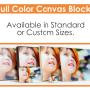 CANVAS BLOCKS