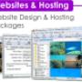 WEBSITES & HOSTING