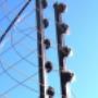 ELectric Fencing