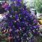 Church-Flower-arrangement