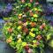 Church-Flower-arrangement