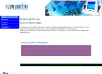 Cyber Junction