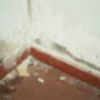 Damp Problems