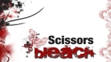 Scissors And Bleach
