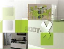 Root-X Auctioneers & Realtors