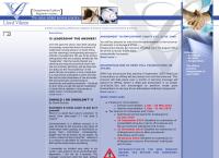 Lloyd Viljoen Accountants And Auditors's website