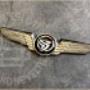Pilot Wing Lapel Pin