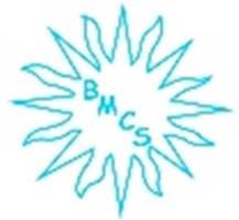 Boiler Maintenance and Construction Services CC