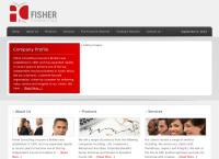 Fisher Consulting's website
