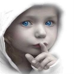 Fsg Private Forensic Investigators Tracers & Auditors