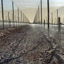 Rob Pottow Irrigation CC