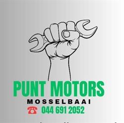 Punt Motors