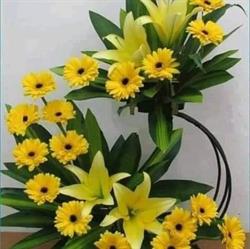 Cape Funeral Fund