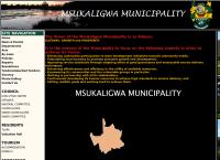 Msukaligwa Local Municipality
