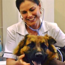 Ixia Street Animal Hospital