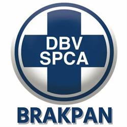 DBV Brakpan