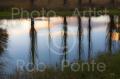 Photographic Printing