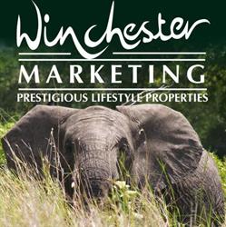 Winchester Marketing