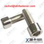 904L hex socket screw