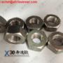 SAF2205 heavy hex nuts