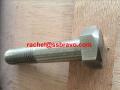 Duplex stainless steel 2205 hex bolt full thread UNS S318031.4462 318LN