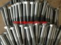 310S hex head bolt 1.4845 AISI310S S31008 hex cap screw