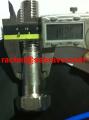 317L hex head bolt cap screw 1.4438 UNS S31726