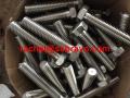 hex tap bolt hex cap screws stainless steel bolt Incoloy825