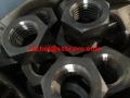 Inconel600-nuts