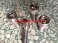 Monel400 countersunk socket screw Nickle copper alloy socket screw