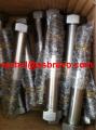S31254-Screw